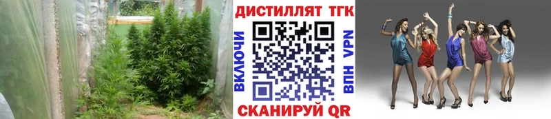 ТГК THC oil  кракен маркетплейс  Зерноград 